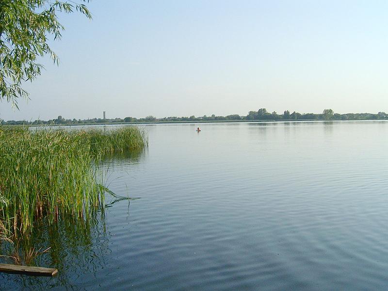 szate (146).jpg